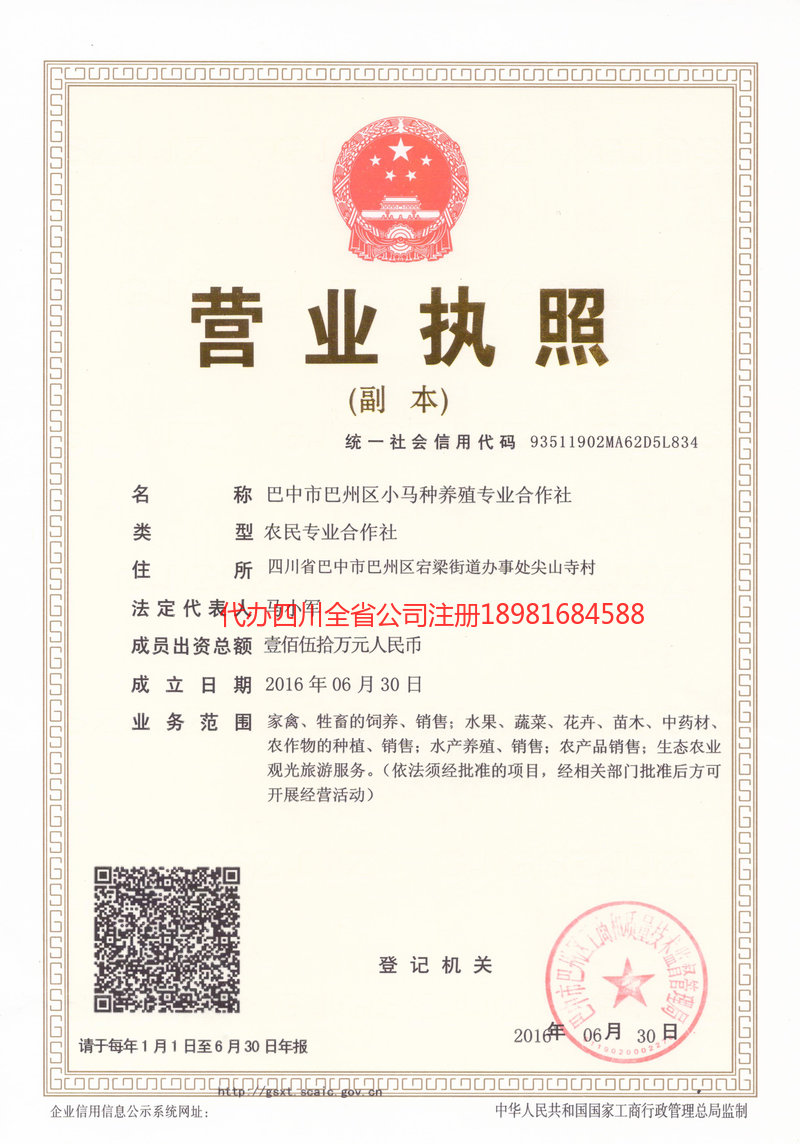 雅安雅安小马种养殖专业合作社